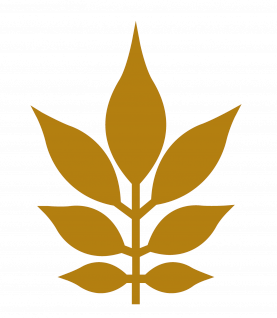 Fundo Santa Elisa