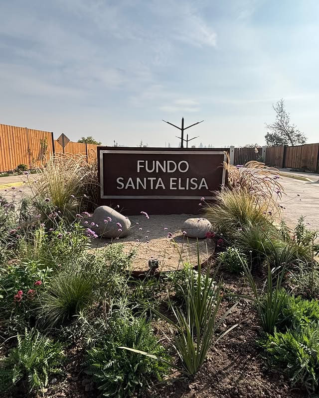 Acceso y paisajismo de Fundo Santa Elisa