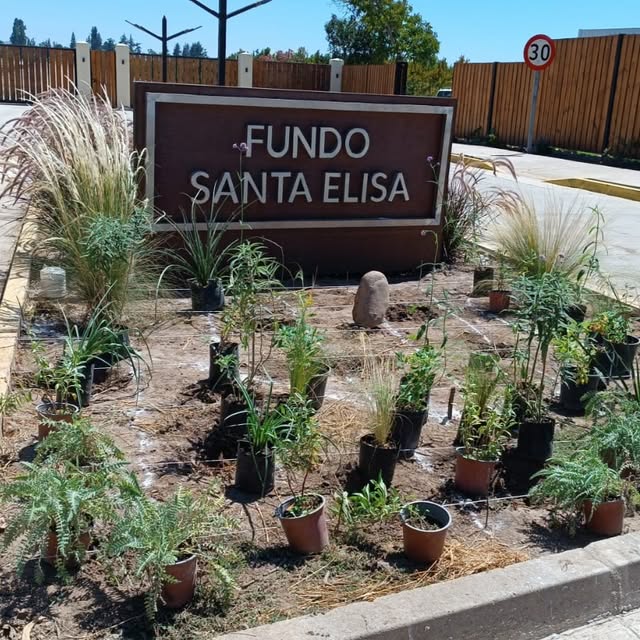 Paisajismo en el acceso del Fundo Santa Elisa