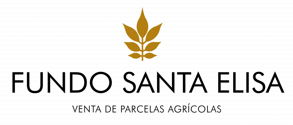 Fundo Santa Elisa