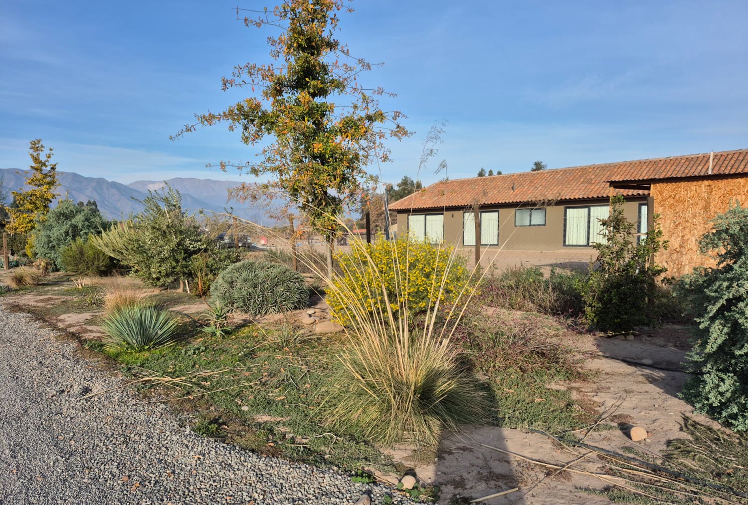 Casa con jardín y cerro de fondo, Fundo Santa Elisa
